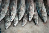 En México casi la mitad del pescado que se compra es “falso” y el gran problema es que no sabes qué estás comiendo 