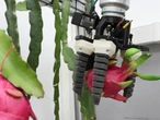 Dos jóvenes construyeron un robot barato que hace una tarea que ni todos los agricultores pueden automatizar 