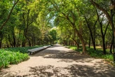El Bosque de Chapultepec prepara un cambio histórico para convertirse en un referente ambiental en el mundo 