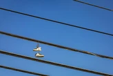 Colgar zapatos en cables de luz no solo pasa en México: esto representa en distintas partes del mundo 