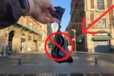 Pocos lo saben, pero esta es la manera correcta de deshacerte de las heces de tus perritos