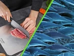 Científicos crearon superficies para cocina anti microbios con el método menos esperado: imitaron la piel de los tiburones 