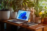 Microsoft ha cambiado el menú de inicio de Windows 11 y ya puedes probarlo: más organización y opción de quitar las recomendaciones 