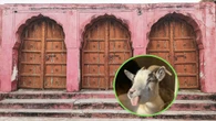 La Paradoja de Monty Hall: el problema con el que habrías ganado en la catafixia de Chabelo 