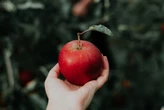 Que es el test de la manzana y por qué es muy útil para ver cómo de potente es una inteligencia artificial 