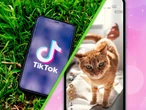 TikTok en México ya deja elegir lo que quieres ver (y lo que no) en "Para Ti": estos son sus nuevos controles personalizados 