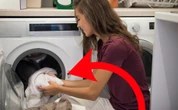 Deje ropa húmeda en la lavadora: estos son cinco consejos de expertos para cuidar mis prendas después de esto  