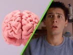 El “modo Reese” es real: científicos confirman que “apagar el cerebro” y quedarse en blanco es una función normal de la mente humana 