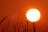 Pronostican lluvias, granizo y calor de más de 45 °C para estos estados