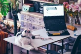 Un estudio de psicología concluye que el teletrabajo trae soledad. Aun así, un 56% de personas afirma que les da calidad de vida 