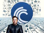 Elon Musk también se ha pasado al torrent: su inteligencia artificial Grok usa este protocolo como medio de distribución 