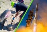 La contaminación de Starship en México sigue: hallan delfines muertos y restos del cohete de SpaceX en Tamaulipas de su última prueba 