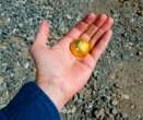 Un hombre afortunado cree haber encontrado 18 kilos de oro, pero su hallazgo es mucho más valioso que eso 