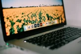 La polémica decisión de Adobe en Photoshop: pedir acceso total al contenido que creemos con el programa 