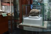 Esta pelota mexicana tiene más de 3,600 años y sobrevivió desde la época olmeca: ahora puede verse por primera vez 
