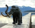 El hallazgo en México de una bebé mamut en San Luis Potosí puede cambiar lo que sabemos del Pleistoceno 
