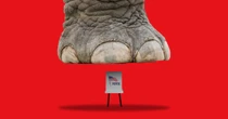 Republicans’ New, Dangerous Attempt to Break the Election