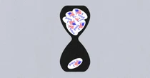 Why California Takes So Long to Count Votes