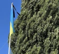 Макарова: Щоб колись не спитали нащадки: "Київ? Харків? А де це?" – і падали на землю соняшники