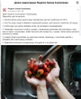 Клопотенко розповів, як правильно мити полуницю, але його висміяли. Що не так із цими порадами?