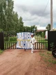 Місце, де живуть учасники шоу "Зважені та щасливі" з вагою до 220 кг, обгородили високим парканом. Фото