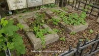 Стан могили відомої письменниці шокував мережу. Українці вирішили втрутитися