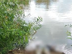 З Тиси дістали тіло 35-го потопельника