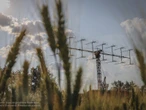 Куди зранку летіли російські ракети? Дані ЗСУ