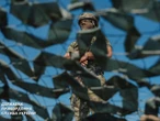 Після попереджувальних пострілів на кордоні виявили порушника без ознак життя – ДПСУ
