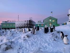 "Без обмеження за статтю й віком". Стартував конкурс у 30-ту українську антарктичну експедицію