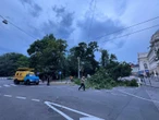 Буревій на заході України. Чернівці залишилися без світла, у Львові впали дерева, затримки в русі поїздів. Фото, відео