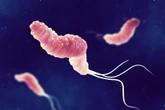 L’OMS met en garde contre la propagation de superbactéries résistantes aux antibiotiques