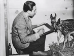 Walt Disney : infantile, lunatique et chauvin, la véritable histoire derrière le mythe