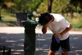 Canicule : "Le gouvernement minimise l'ampleur de la catastrophe à venir"