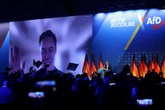 Interdiction de l’AfD : un débat aussi grotesque que préoccupant, par Rainer Zitelmann