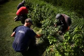 Canicule : "A partir de 30 °C, la productivité diminue de plus d'un euro par heure travaillée"