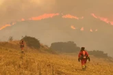 Espagne : comment l'armée aide à lutter contre les incendies depuis plus de 20 ans