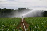 Projet de loi agricole : "Il n’y a pas de meilleure façon de relancer la bataille de l’eau"