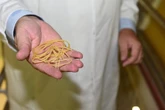 Quand tous les Polonais mangeaient des nouilles Danuta : le pari réussi d'un entrepreneur français