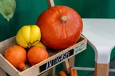 Alimentation : ces start-up qui s’attaquent au gaspillage