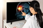 "La vengeance agit sur le cerveau comme une drogue" : l'éclairage passionnant de James Kimmel (Yale)