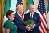 "Un paradis pour les centristes" : comment l'Irlande s'organise face à la vague trumpiste en Europe