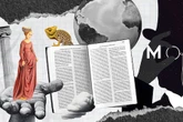 Femme, girafe, magasin… Cinq folles histoires de la langue française en vidéos