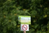 Cigarette interdite dans les lieux publics : non, la lutte contre le tabagisme n'est pas liberticide