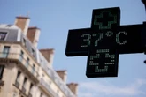 Dominique Bussereau : "Face aux canicules, le vrai sujet n'est plus l'alerte, mais la capacité à agir vite"