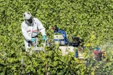 Polluants dans nos assiettes : "Parmi 10 000 Pfas, seuls quatre sont vraiment étudiés"