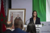 Gazoduc géant Maroc - Nigeria : "Ce projet peut contribuer à la sécurité énergétique de l’Europe"