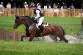 Team USA eliminated from Olympic dressage after horse displays blood on leg