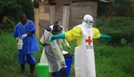 Ebola outbreak fuels mounting global alarm as U.S. works to relocate affected Americans