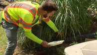 Fairfax County helps residents fight mosquitoes and ticks